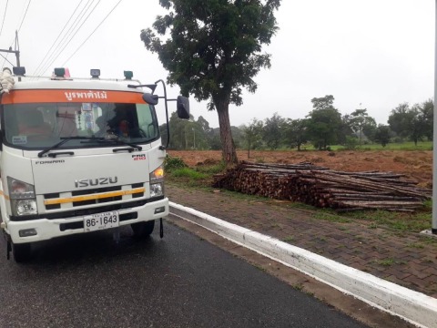 ร้านขายไม้ ชลบุรี